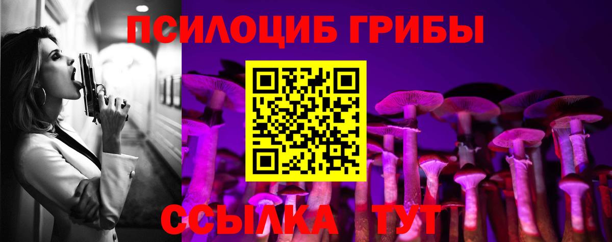 Псилоцибиновые грибы мухоморы  Вход с VPN  где можно купить наркотик  Орехово-Зуево  Псилоцибиновые грибы Psilocybe 